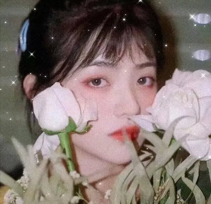 石纪元第二季